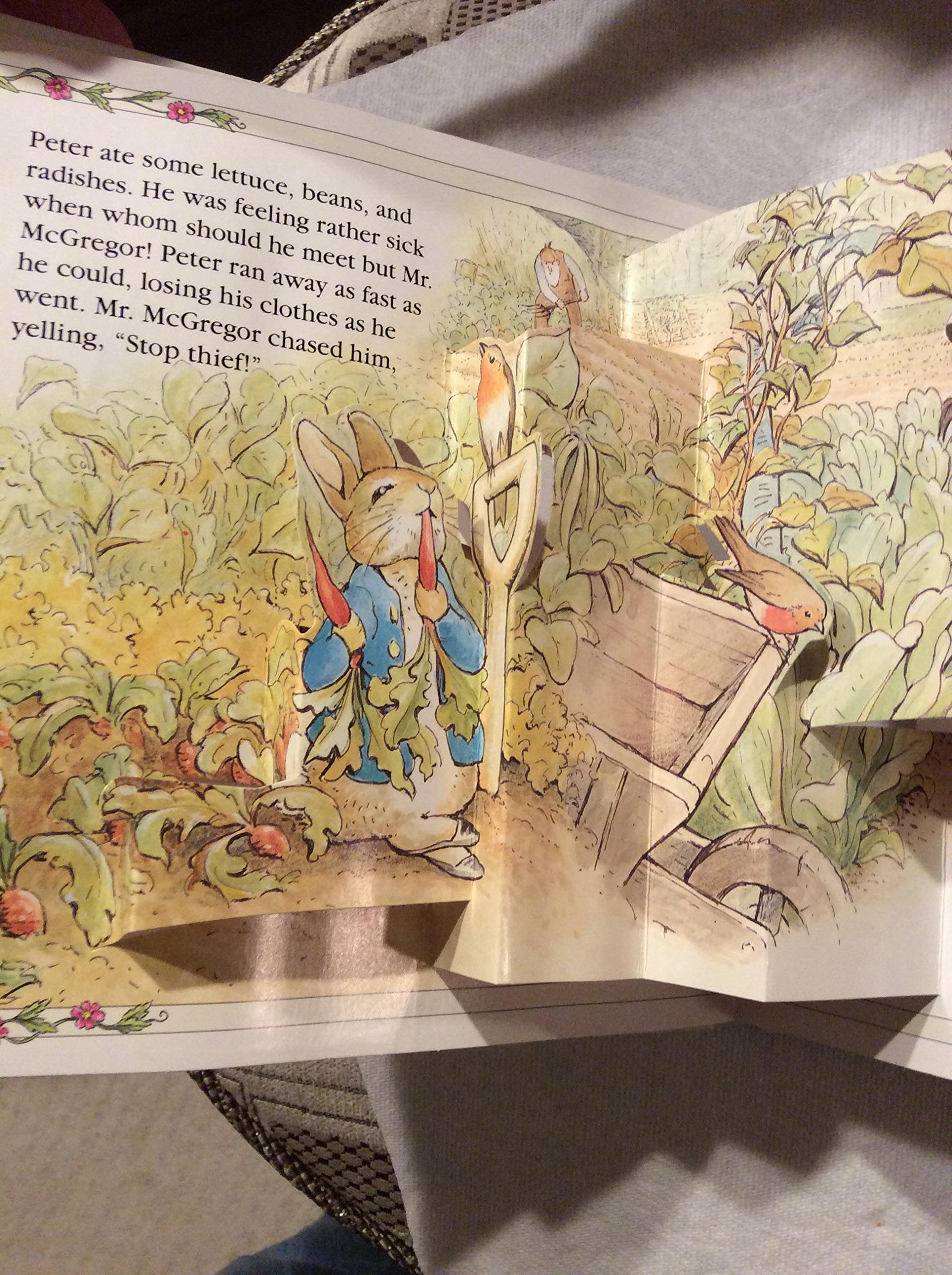 The Tale of Benjamin Bunny (A Pop up Book) by Beatrix Potter | Goodreads