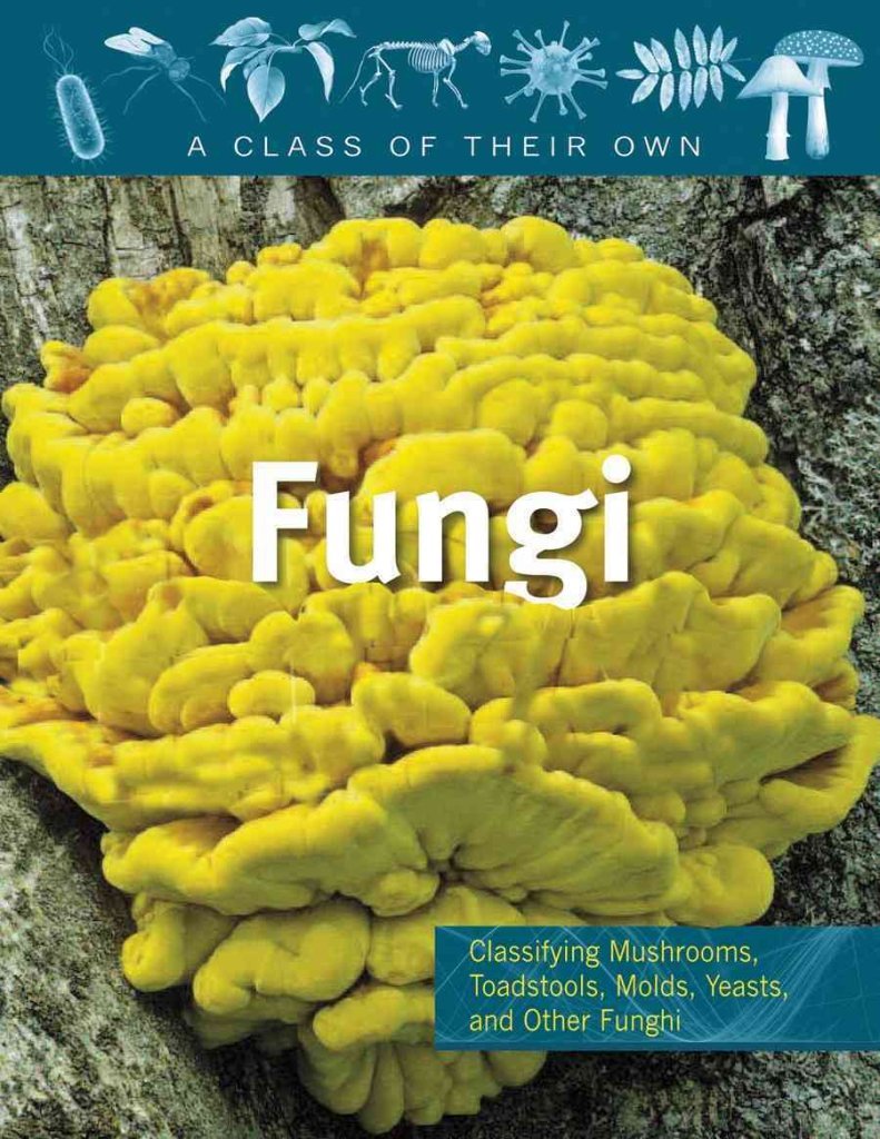 [(Fungi Mushrooms, Toadstools, Molds, Yeasts, and