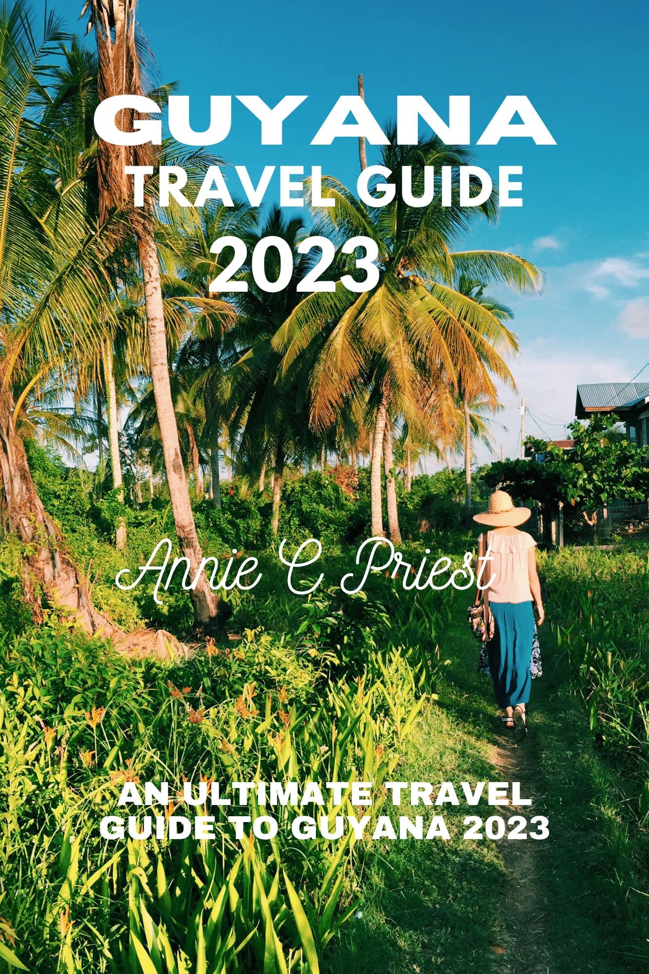 Guyana Travel Guide 2023: An Ultimate Travel Guide To Guyana 2023 by