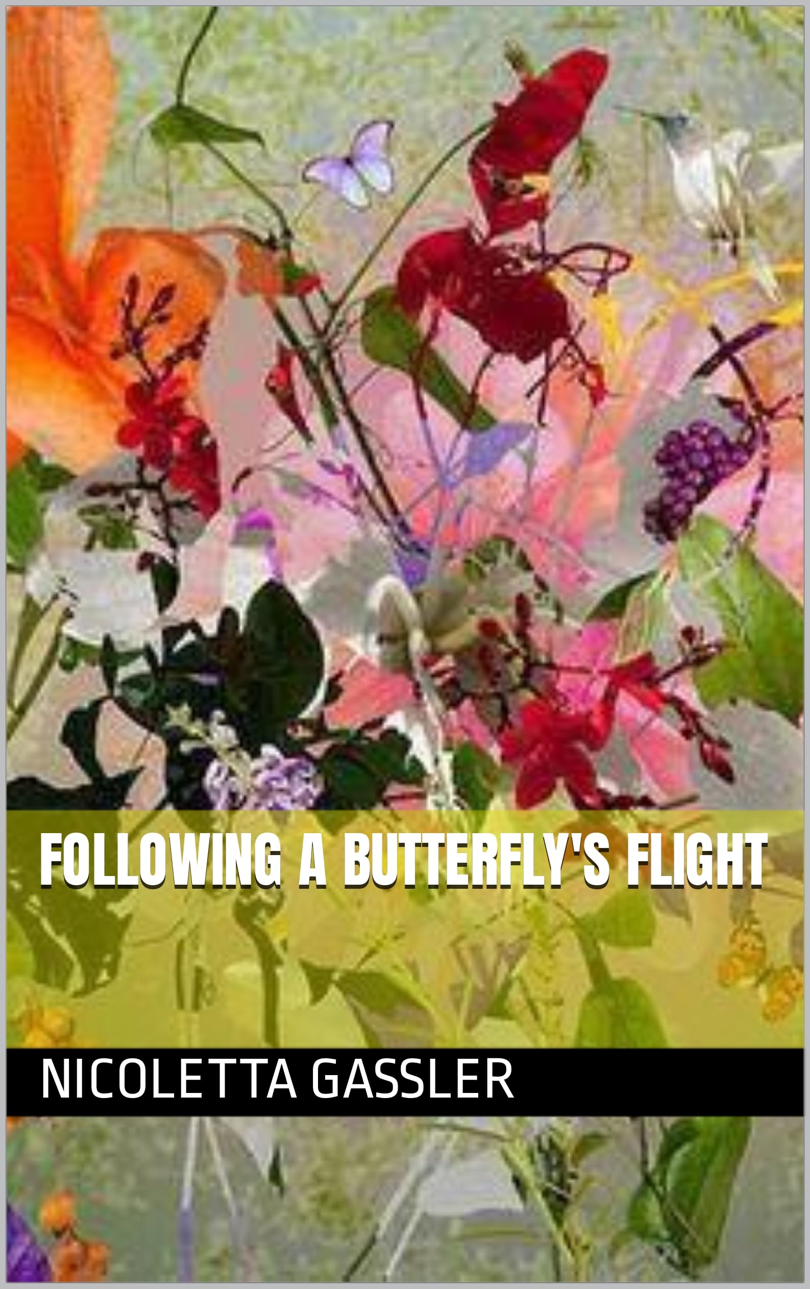 Following a butterfly's flight
