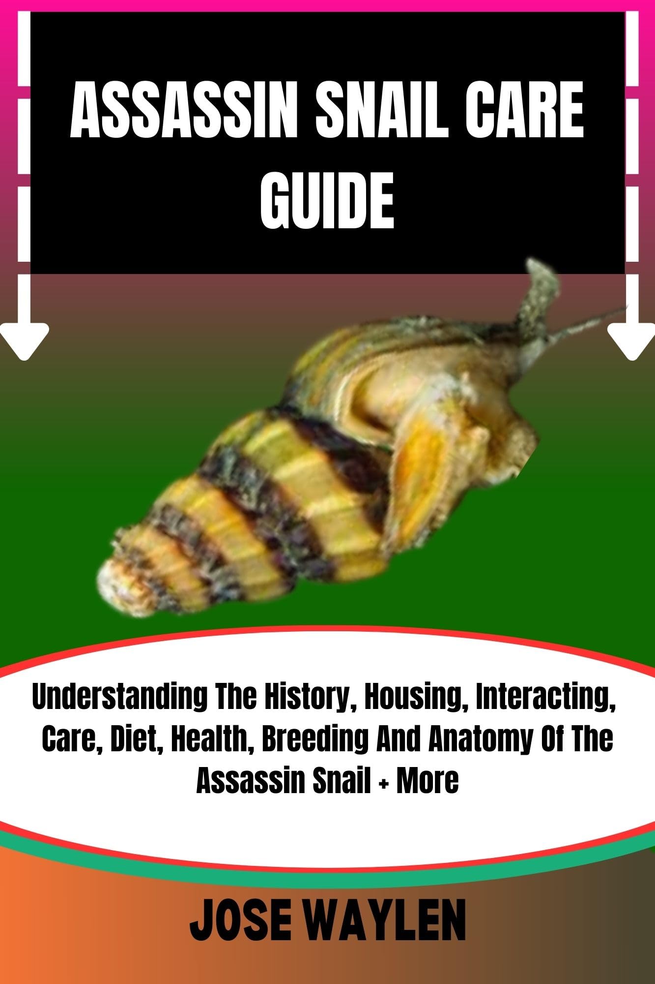 ASSASSIN SNAIL CARE GUIDE Understanding The History, Housing, Interacting, Care, Diet, Health