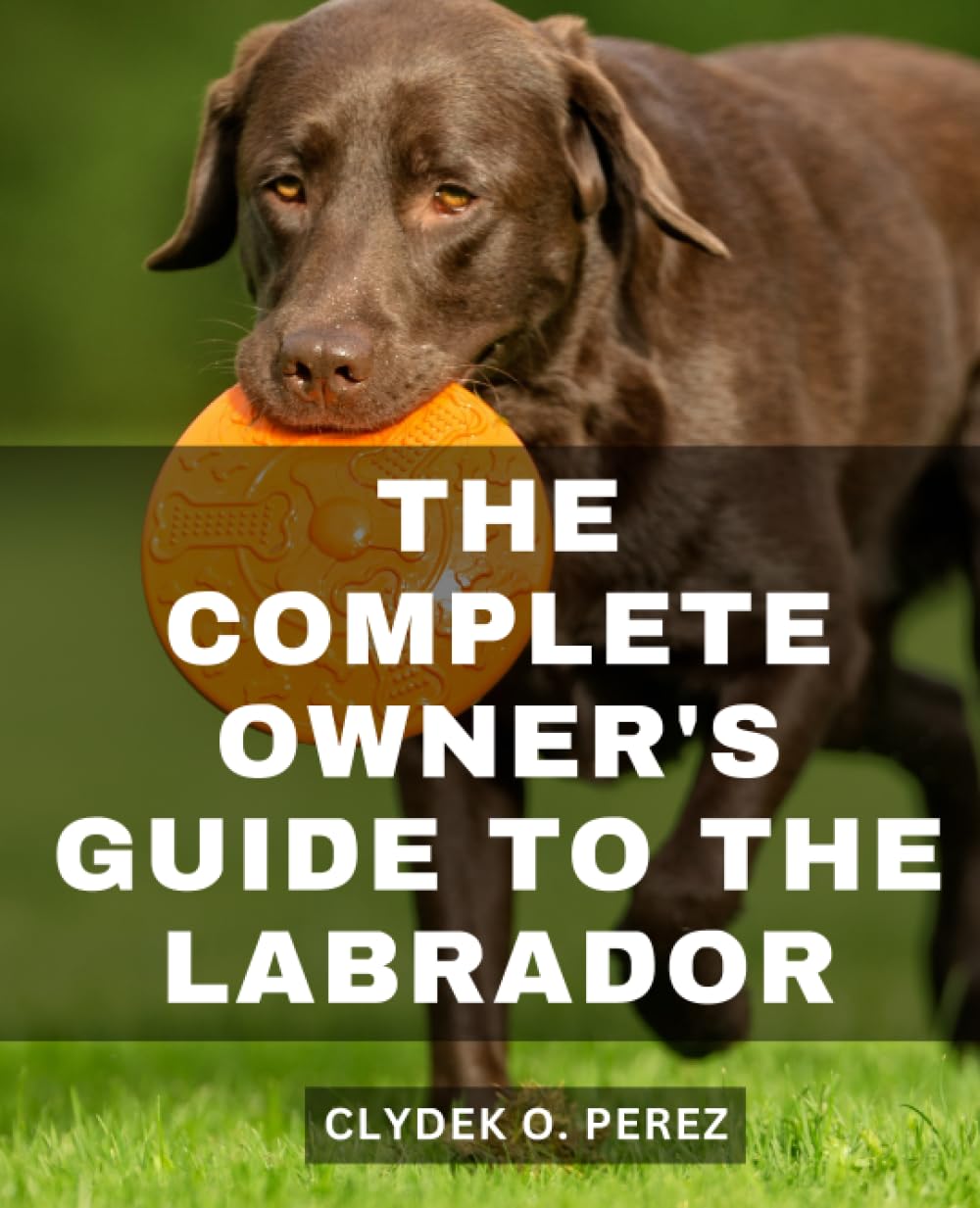 The Complete Owner's Guide To The Labrador: A Comprehensive Guide to ...