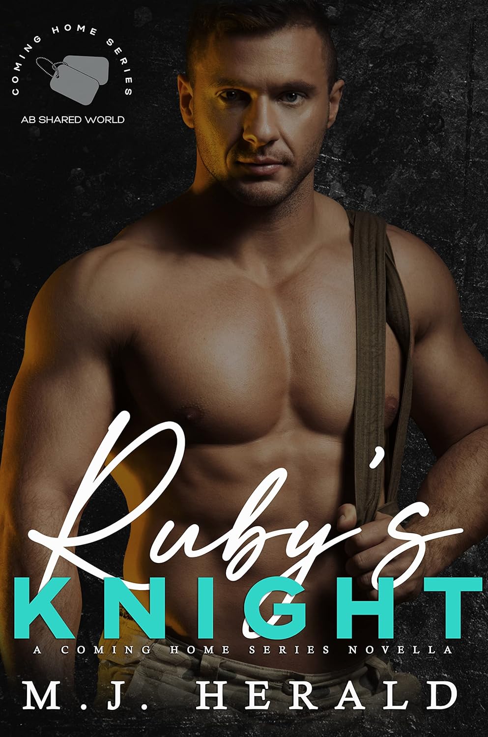 Ruby's Knight book cover