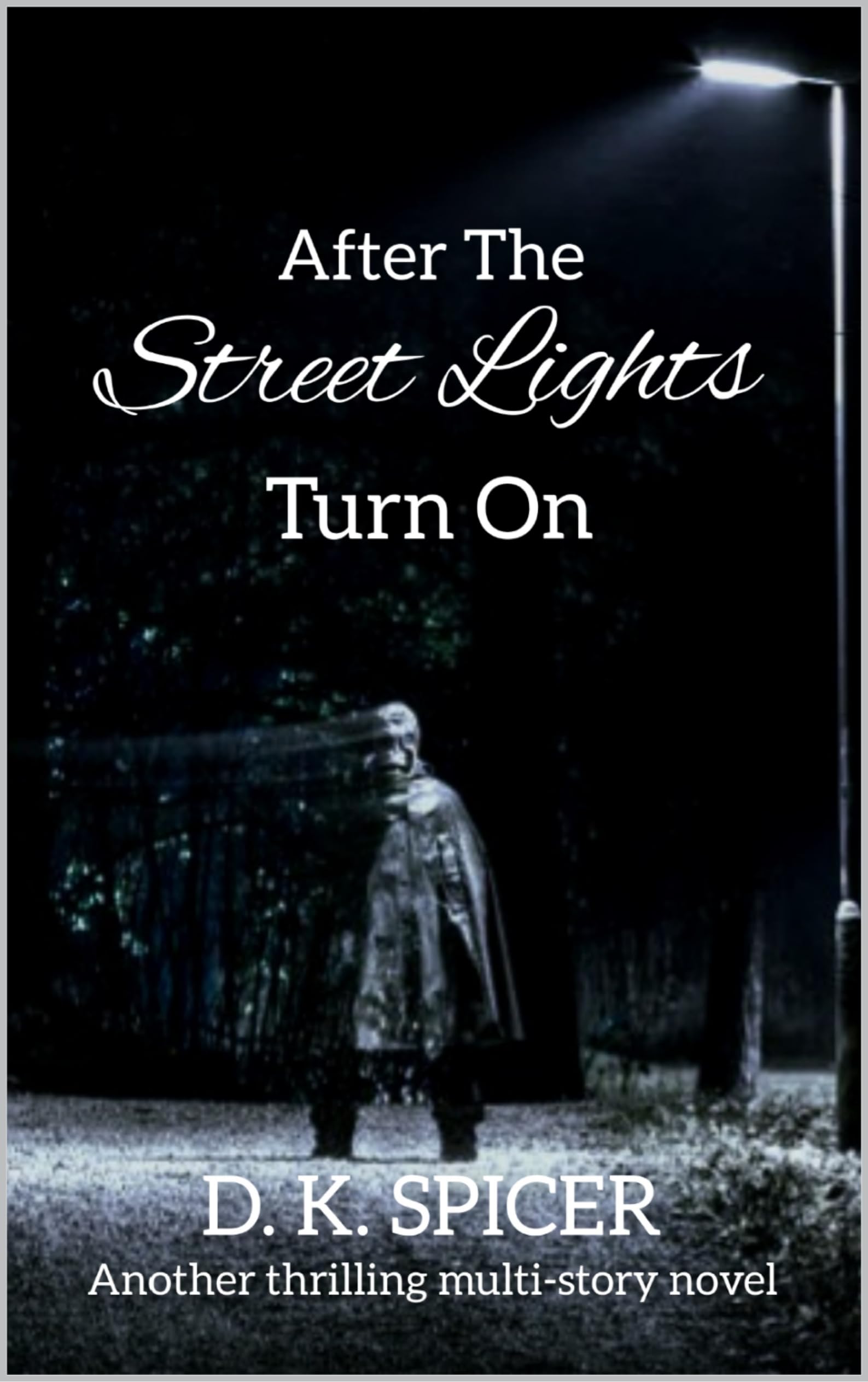 After The Street Lights Turn On Another Multistory Novel by D. K