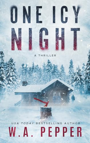 One Icy Night: A Rook Thriller