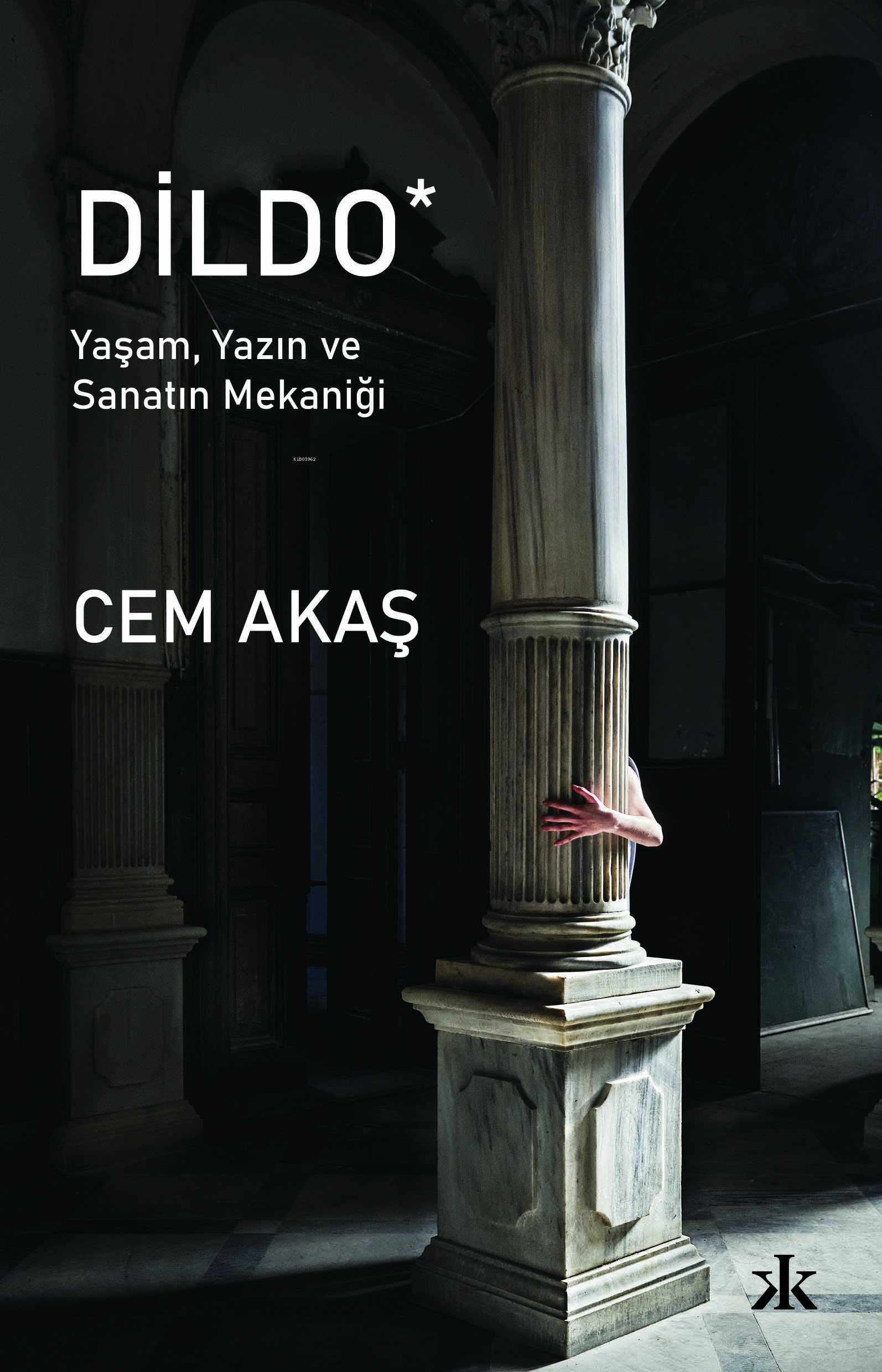 Dildo book cover