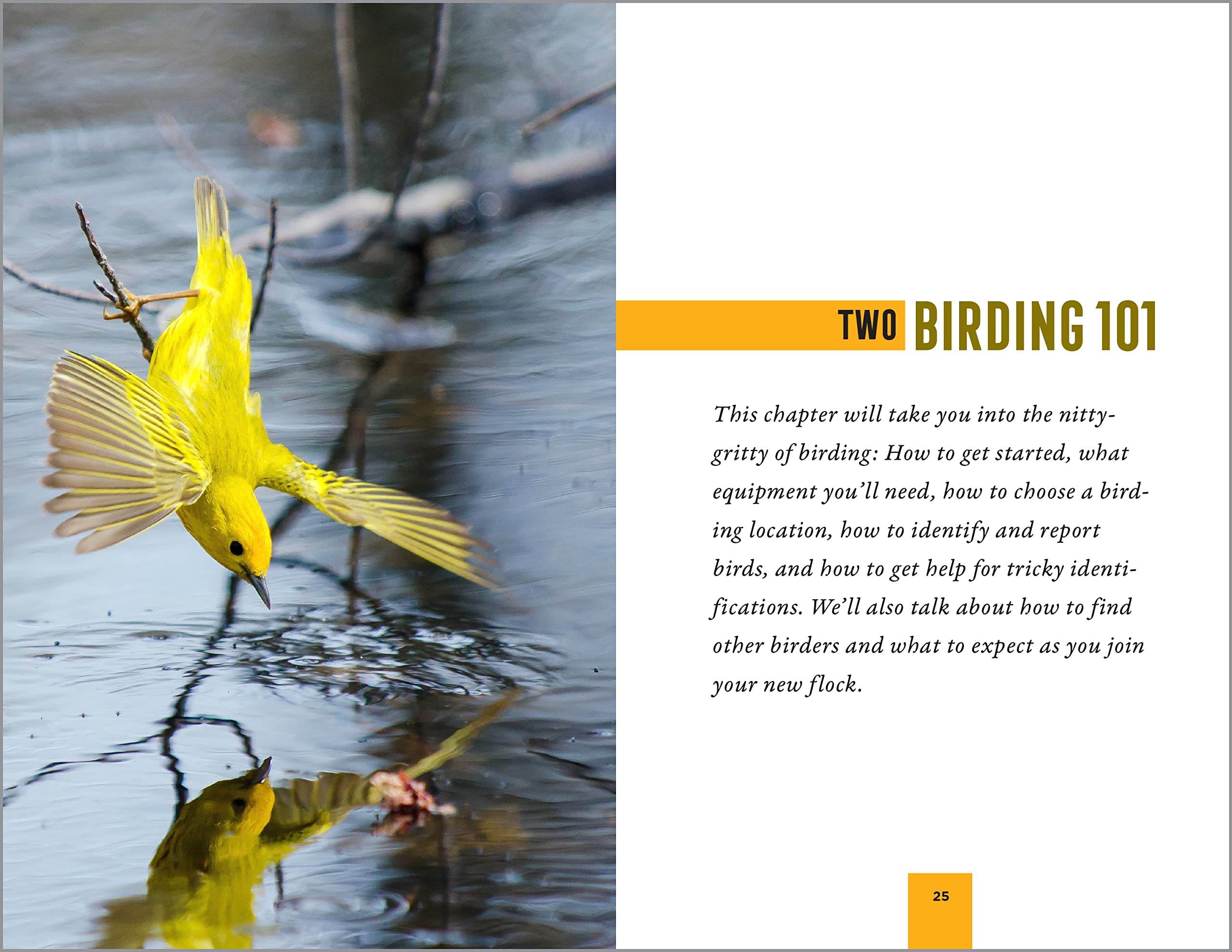North American Bird Watching for Beginners: Field Notes on 150 Species ...