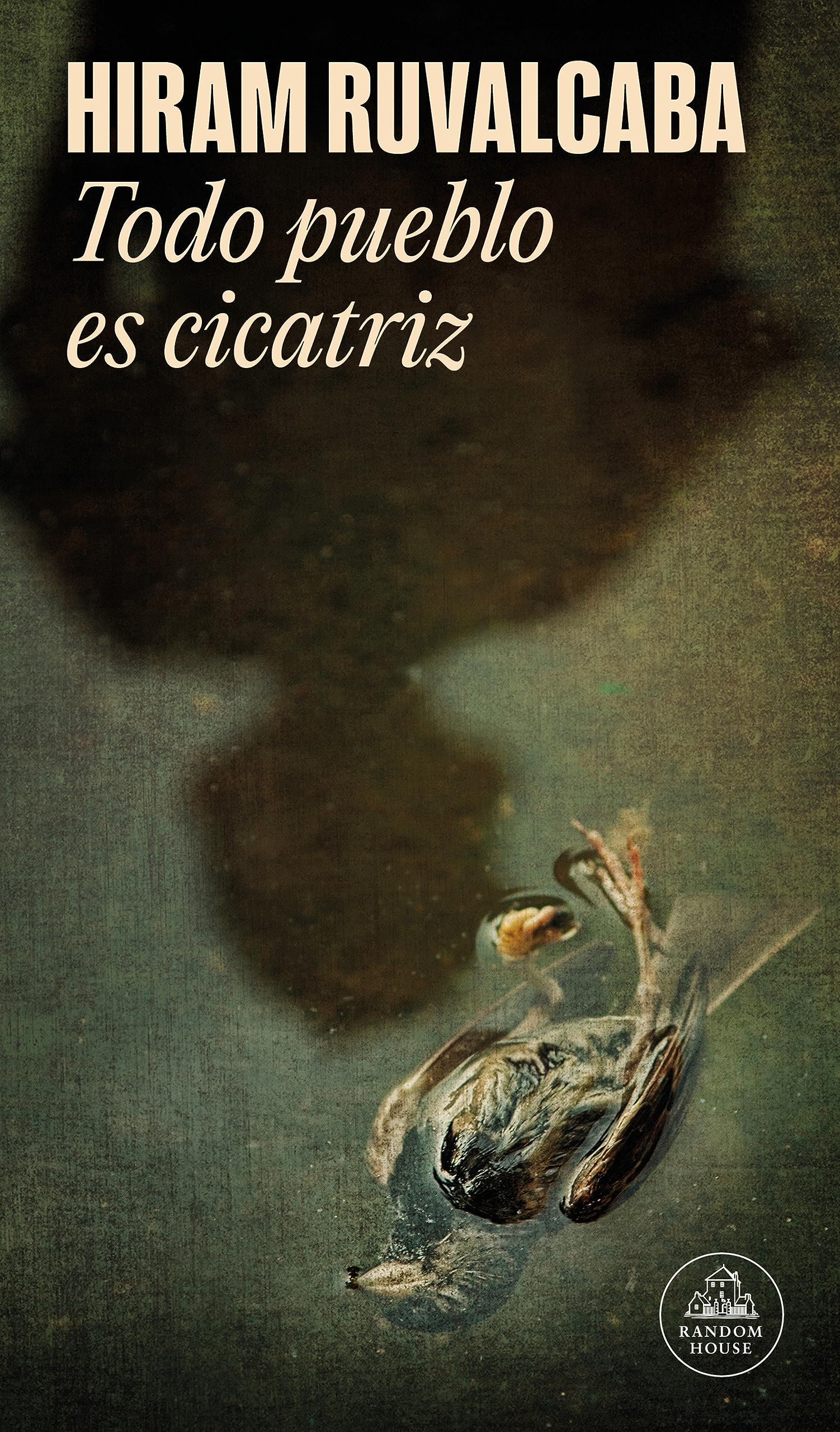 Cicatriz / Scar (Spanish Edition)