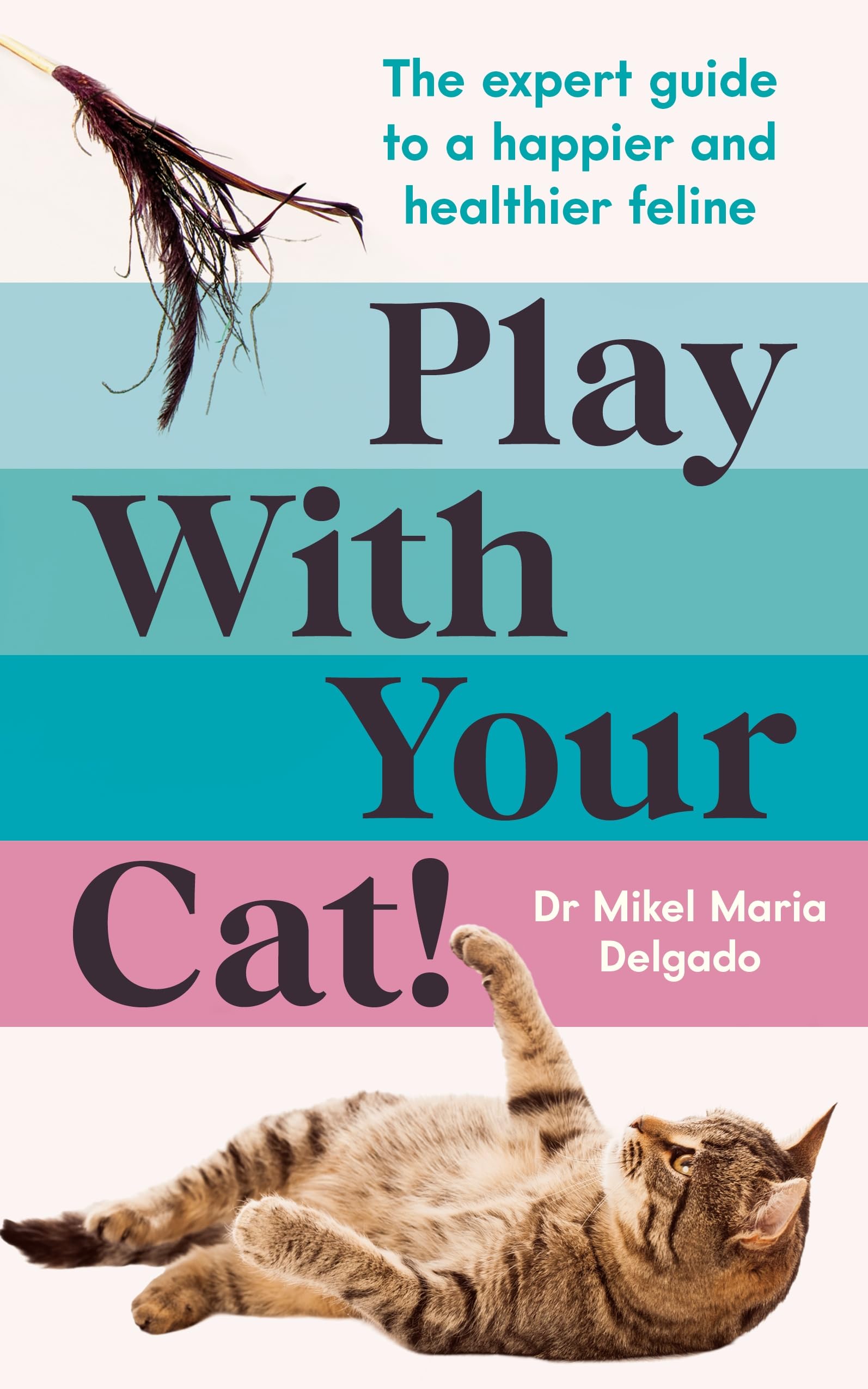 Play With Your Cat!: The expert guide to a happier and healthier feline