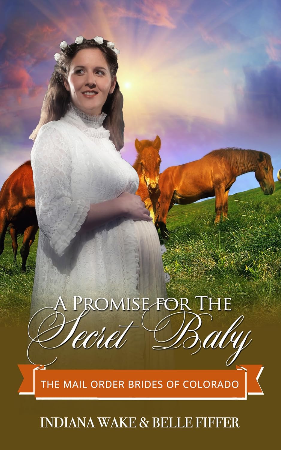 A Promise of Protection for the Secret Baby book cover