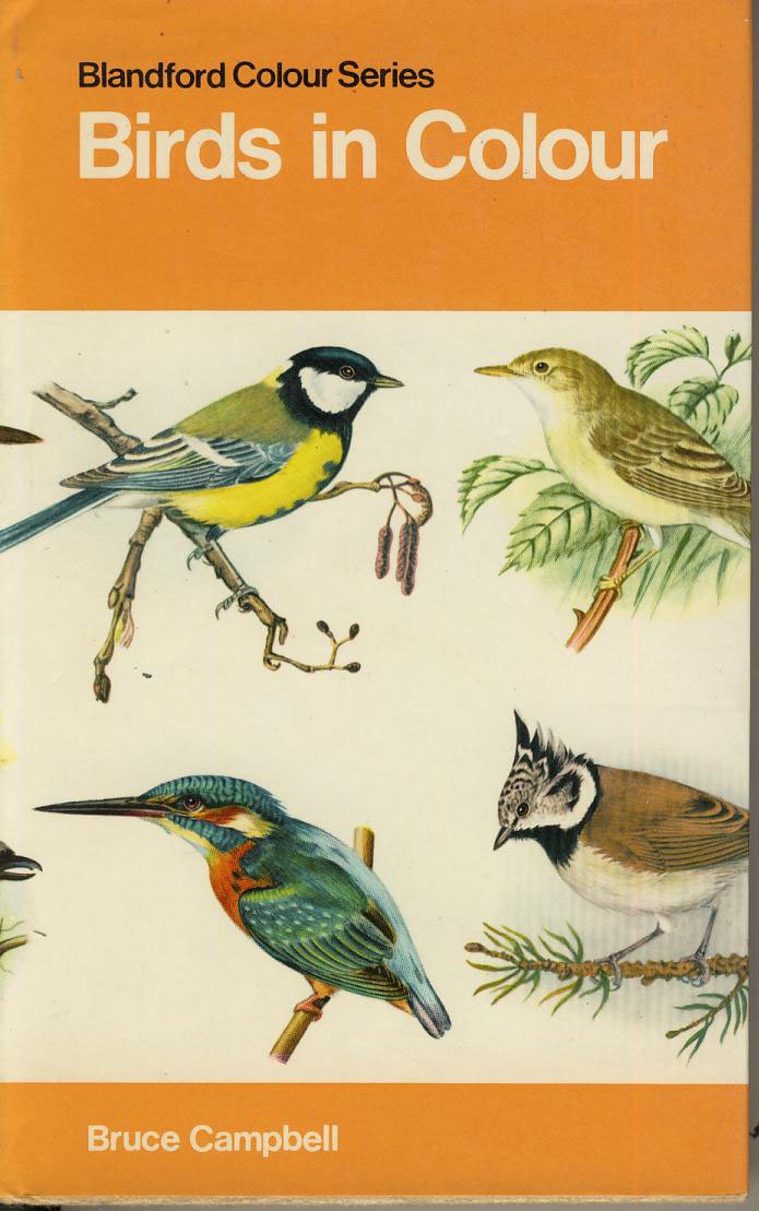 Birds in Color by Bruce Campbell | Goodreads