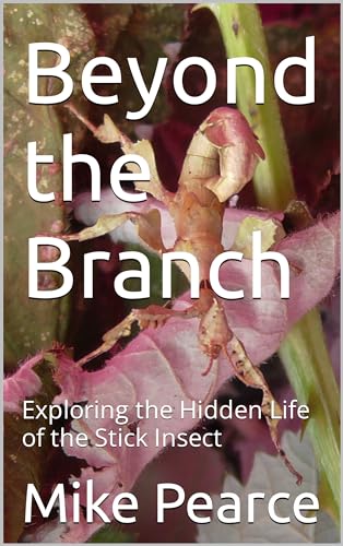 Michael Cook Insect Beyond the Branch: Exploring the Hidden Life of the Stick Insect by ...