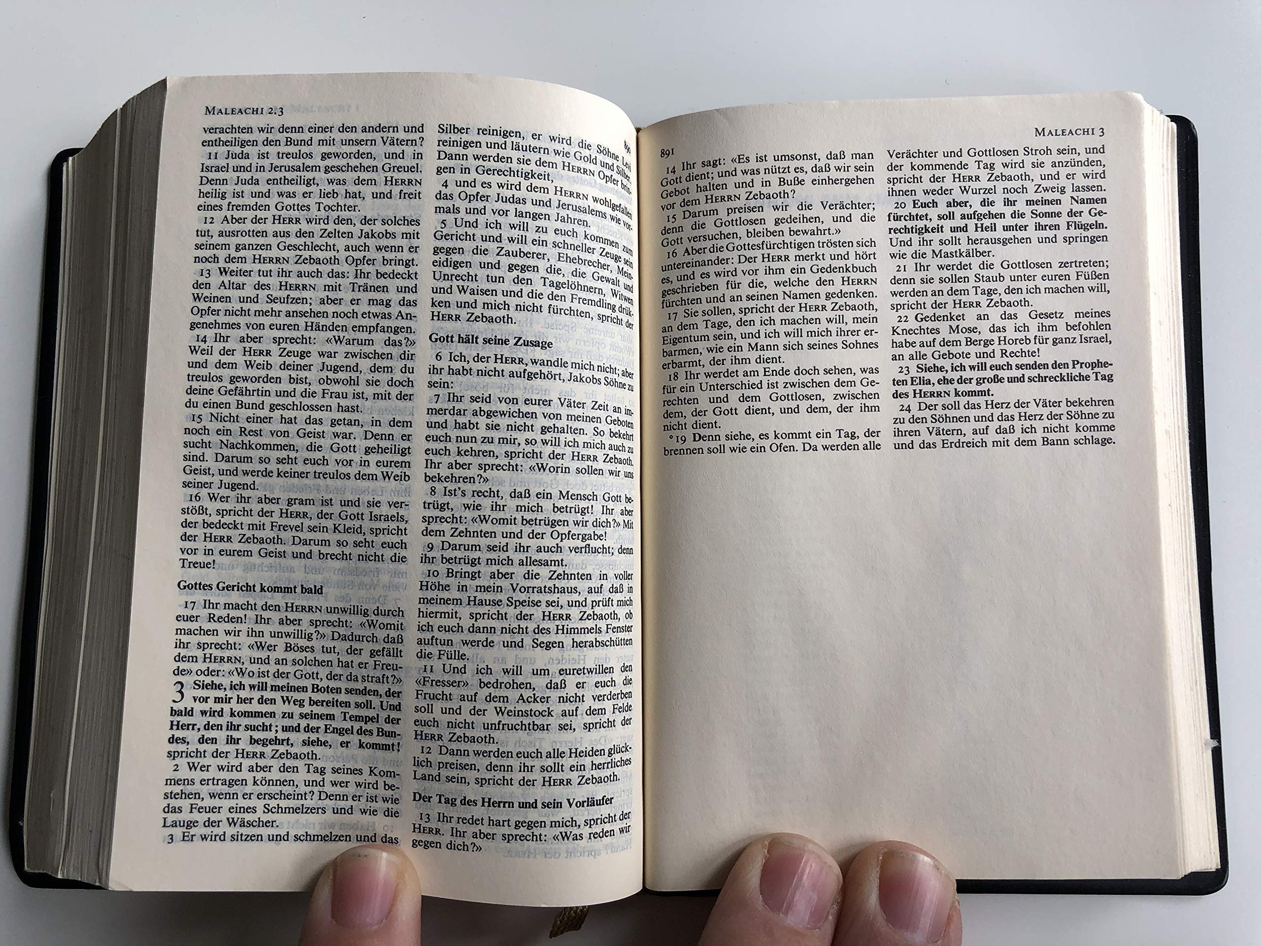 Die Bibel Pocket size German Holy Bible / Martin Luther translation