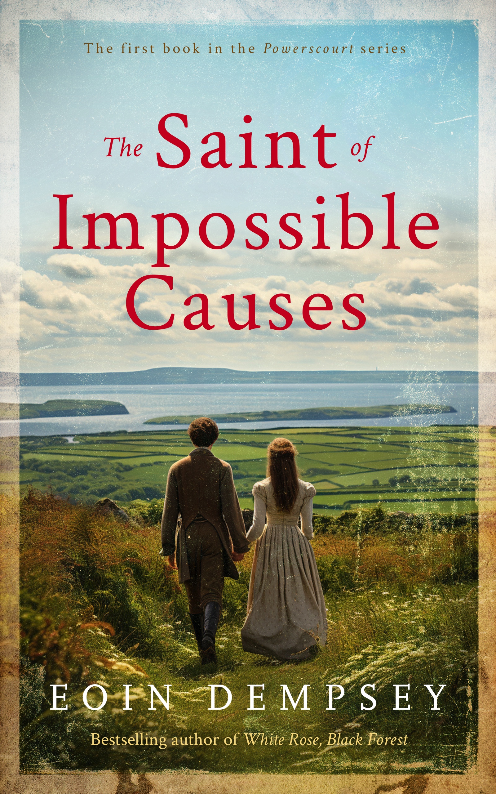 The Saint of Impossible Causes: An Irish 19th Century Family Saga