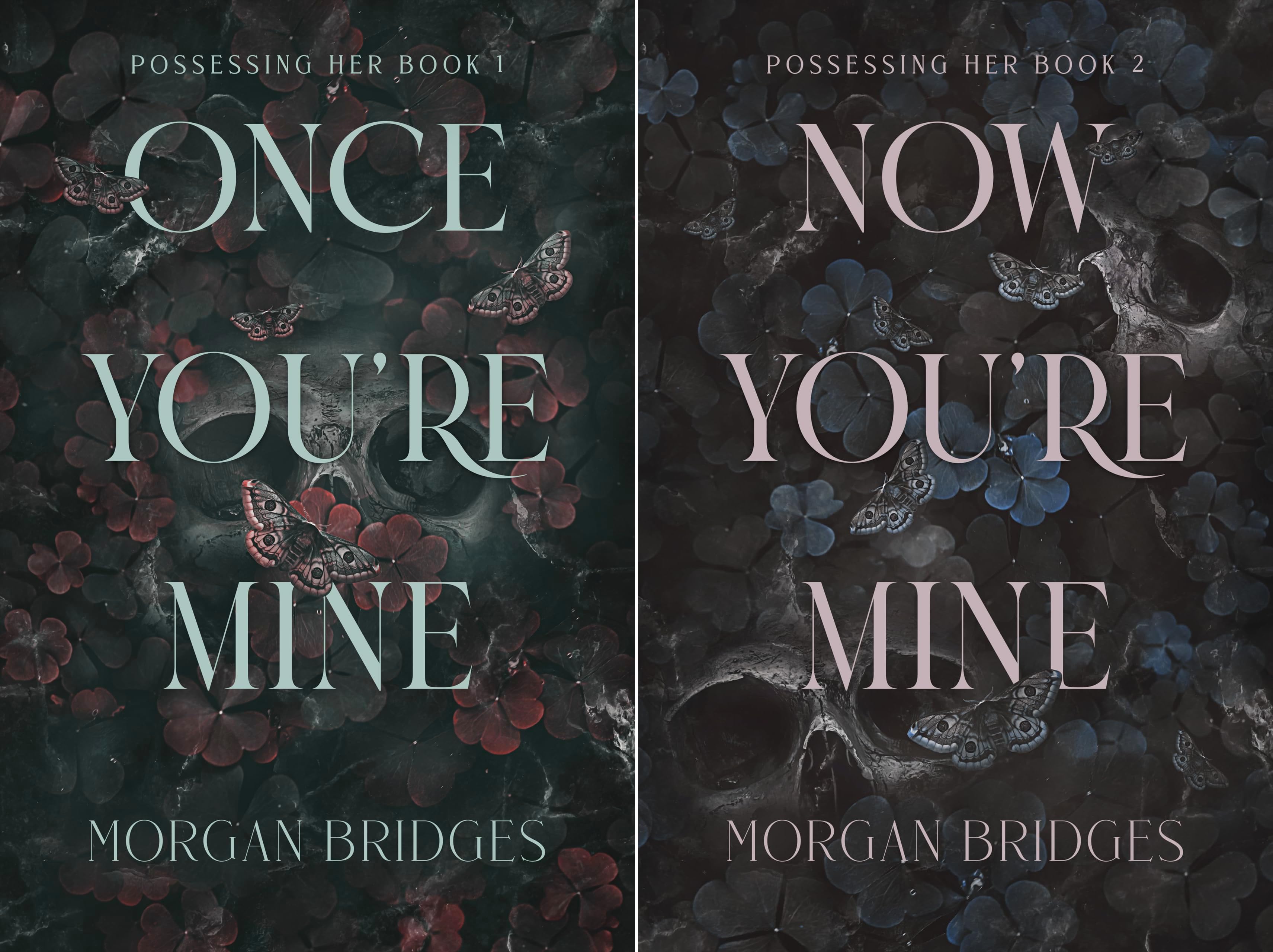 Possessing Her by Morgan Bridges | Goodreads