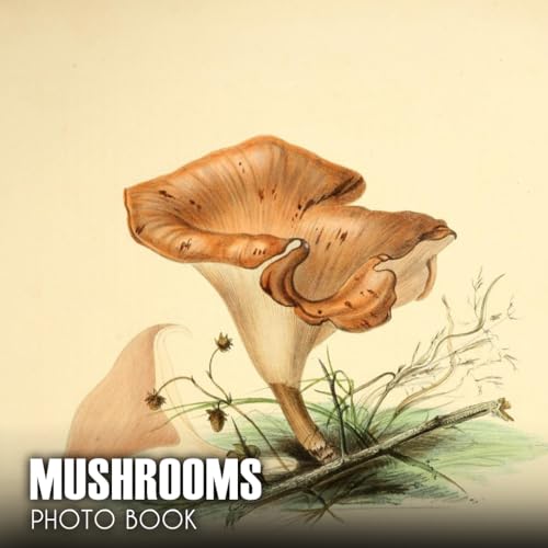 Mushrooms Photography Book: Colorful Images Of Beautiful Nature And