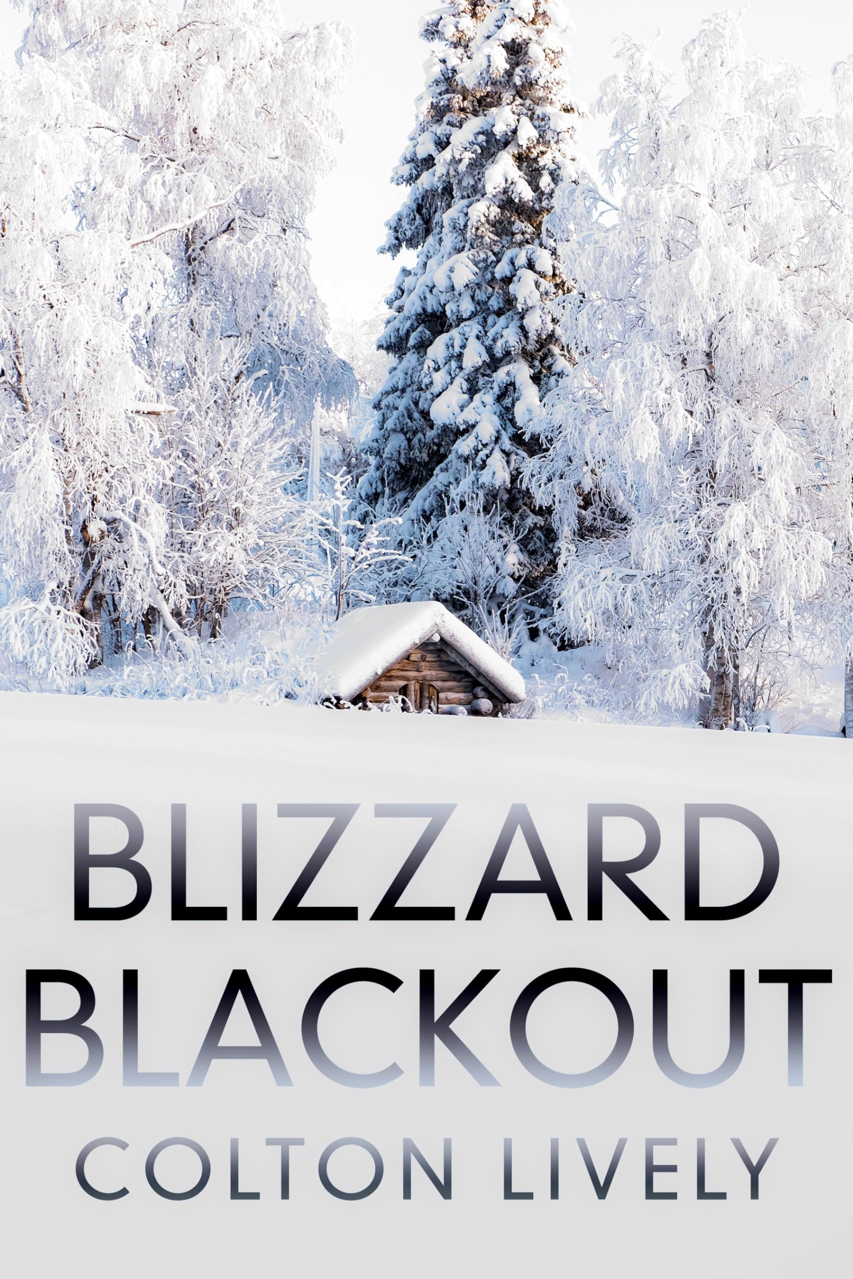 Blizzard Blackout: A Small Town Post Apocalypse EMP Thriller