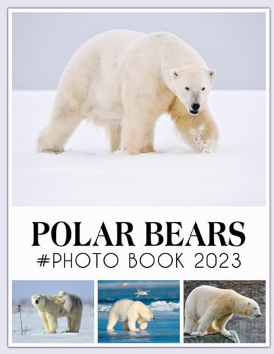 Polar Bears Picture Book: An Animals Picture And Photo Book Colorful ...