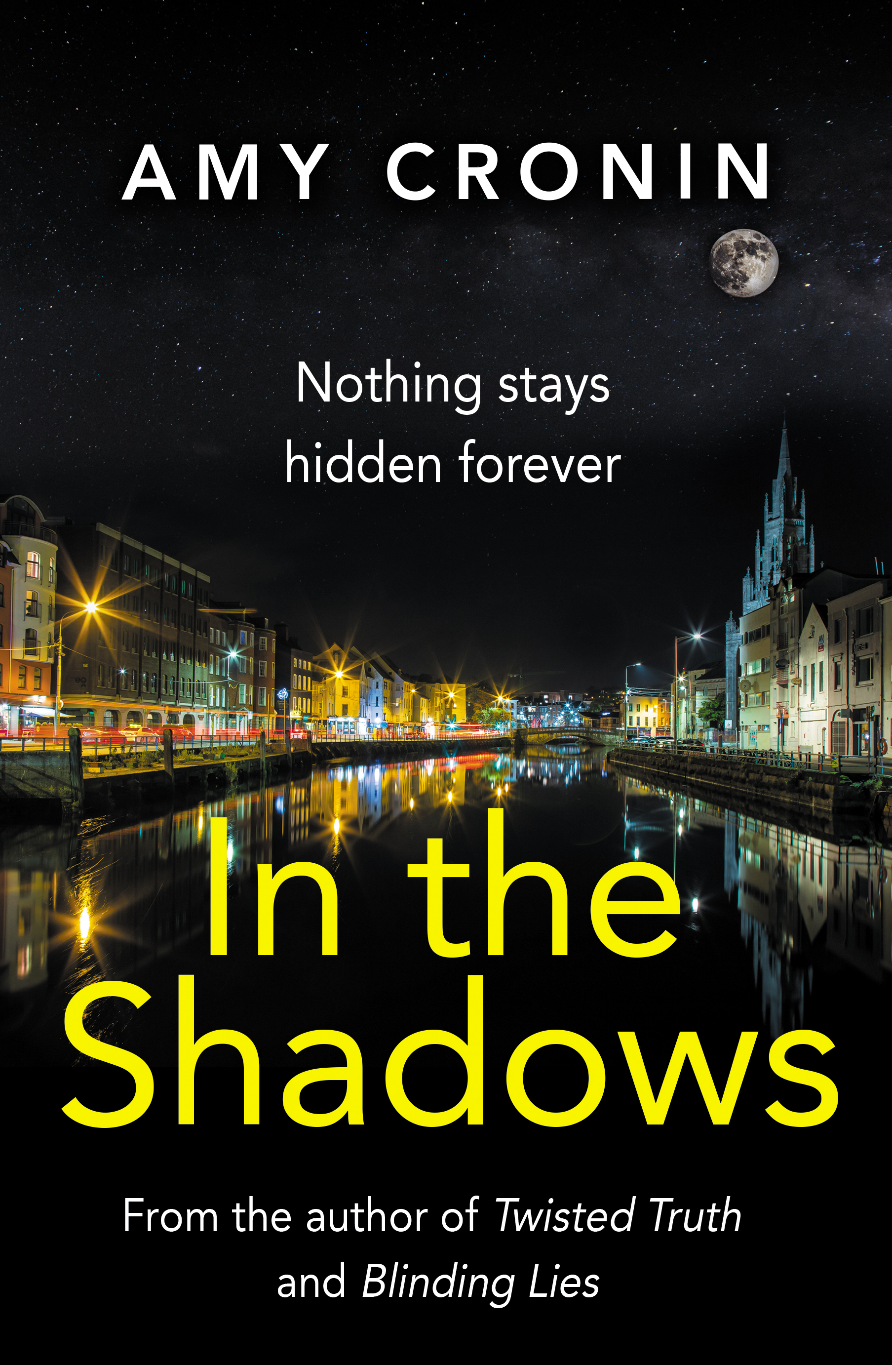 In The Shadows - A Riveting Saga of Pursuit, Betrayal, and the Inescapable Past