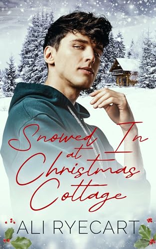 Snowed In at Christmas Cottage book cover