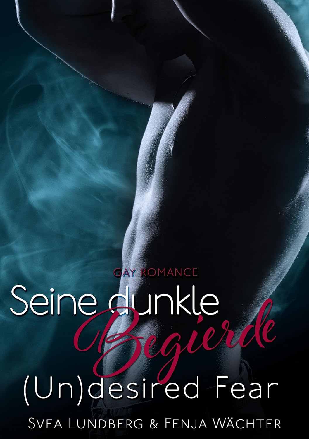(Un)desired Fear: Seine dunkle Begierde (Gay Romance)