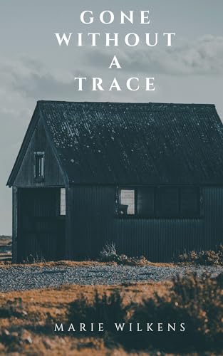 Gone without a Trace book cover
