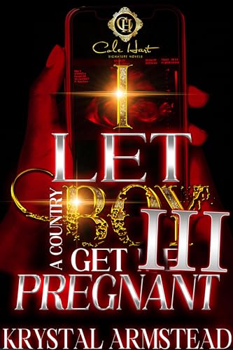 I Let A Country Boy Get Me Pregnant 3: An African American Romance: The Finale