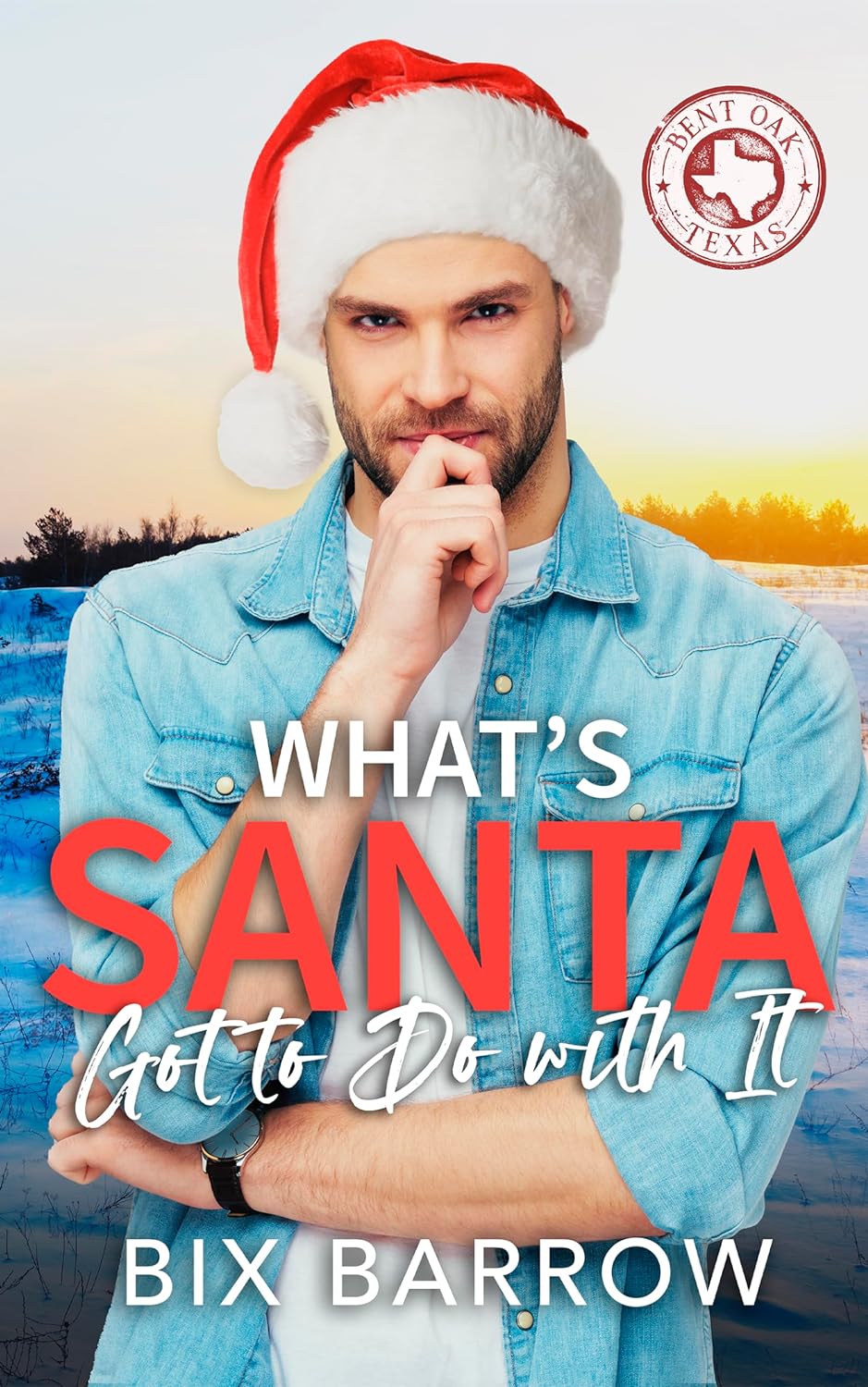 What's Santa Got to Do with It? book cover