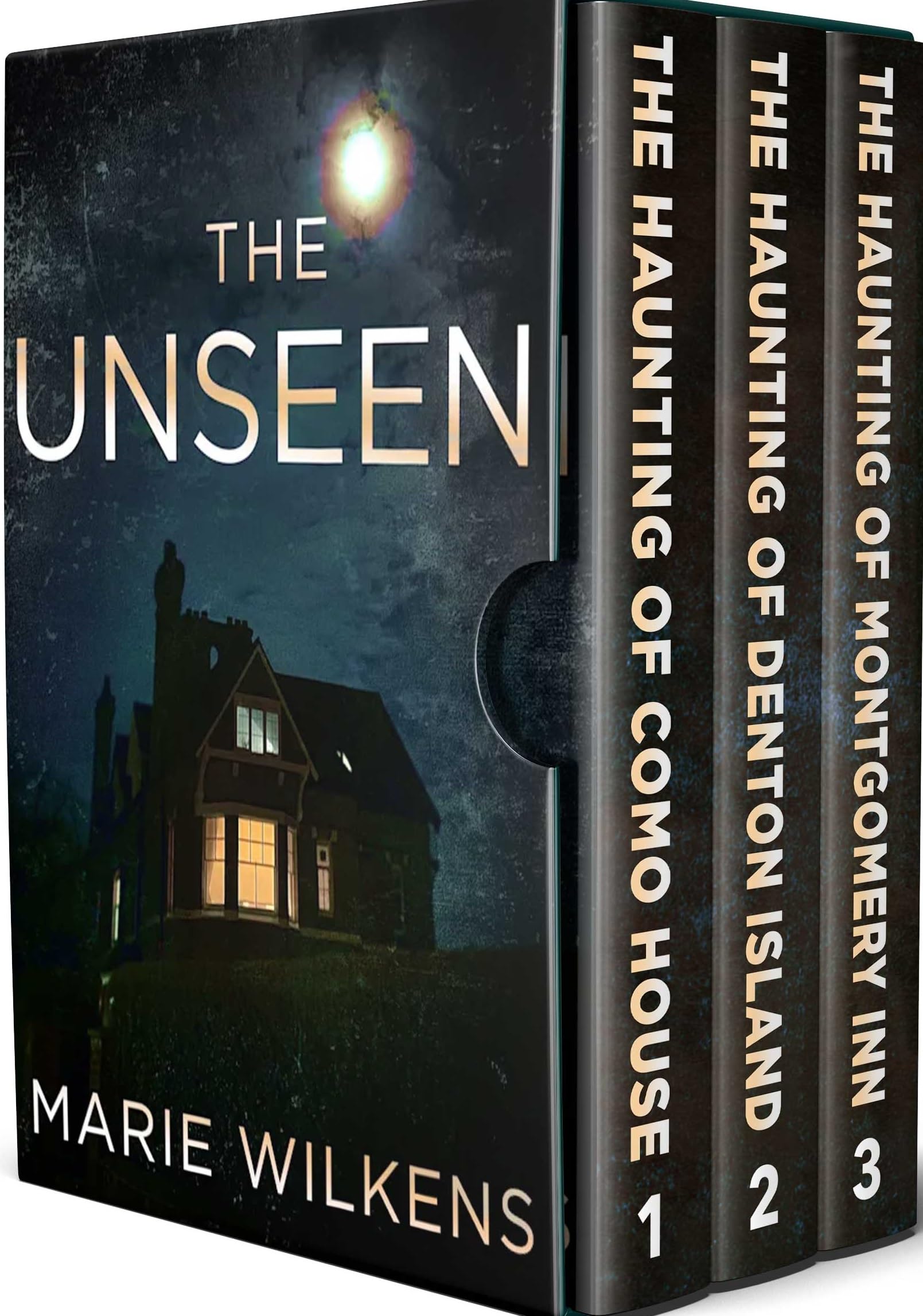 The Unseen book cover