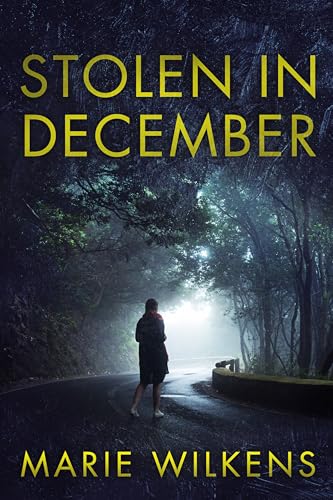 Stolen in December: A Small Town Riveting Kidnapping Mystery Thriller Boxset