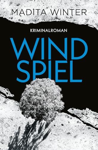 Windspiel: Kriminalroman (Anelie Andersson ermittelt 3)