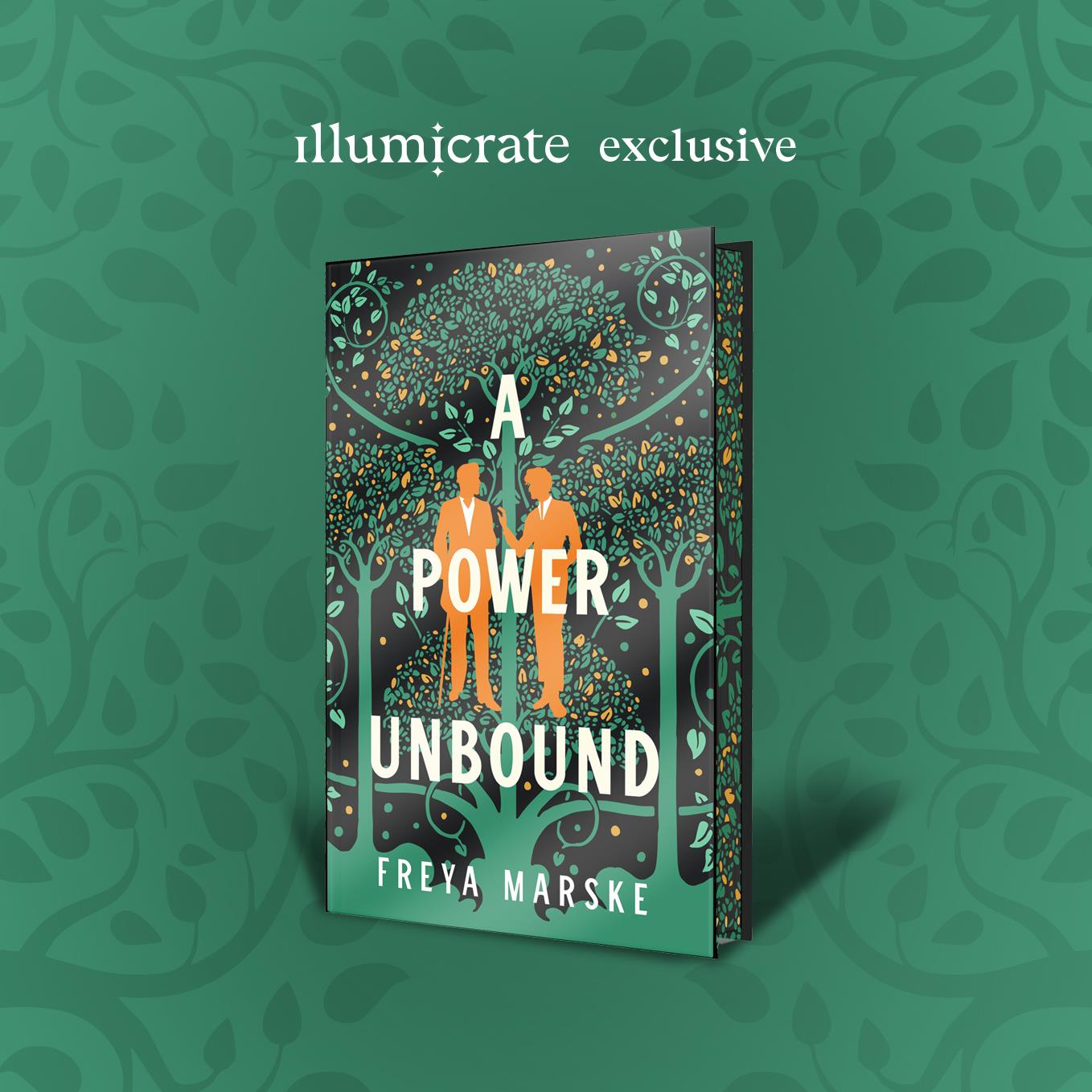 A Power Unbound (The Last Binding, #3)