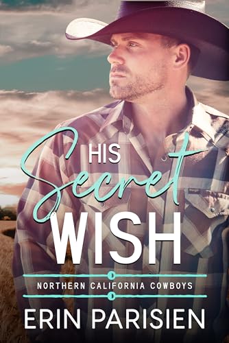 His Secret Wish book cover