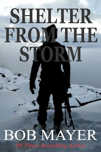Shelter From The Storm book cover