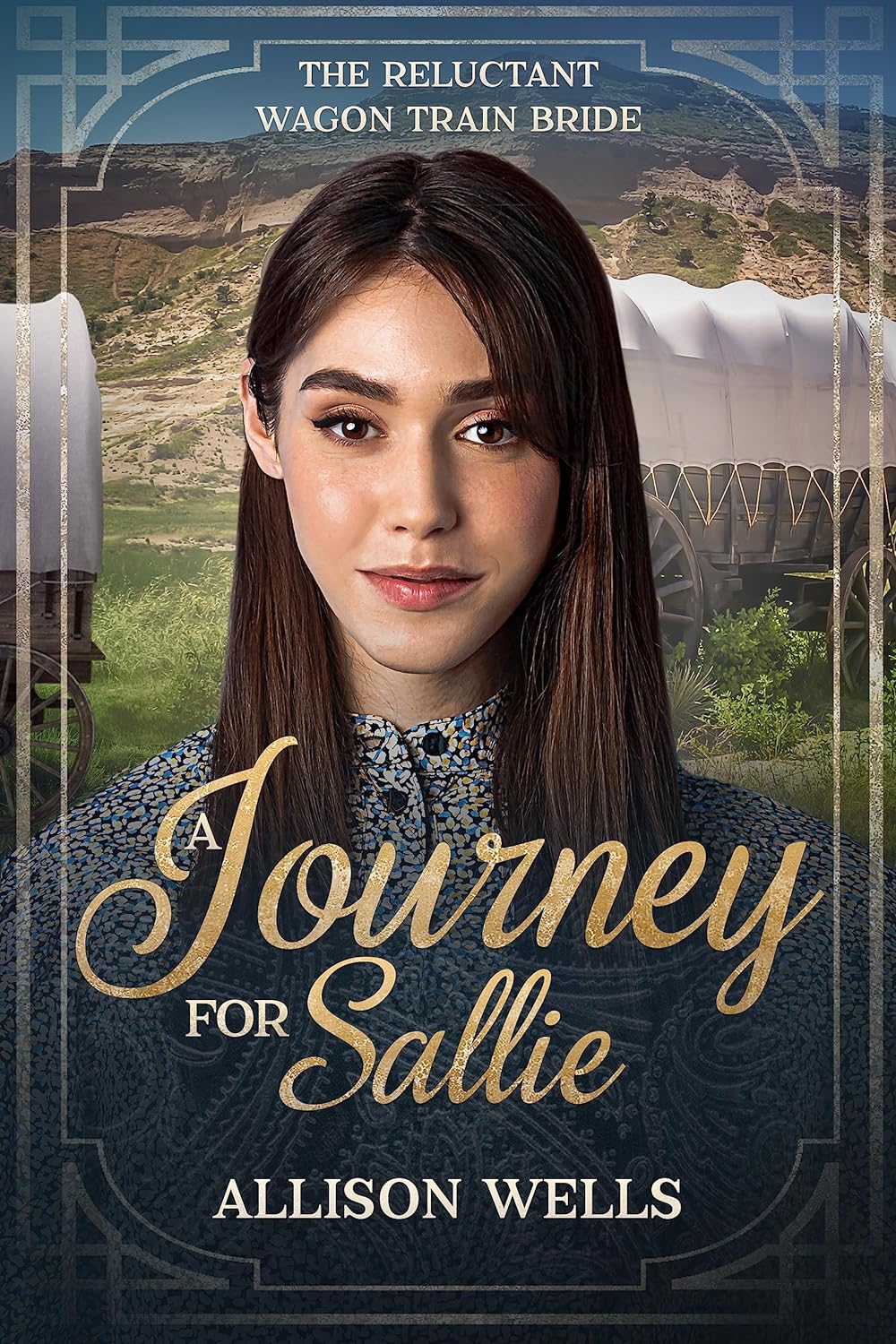 A Journey for Sallie book cover