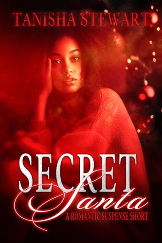 Secret Santa book cover