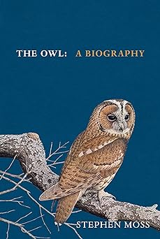 The Owl: The perfect gift for bird lovers