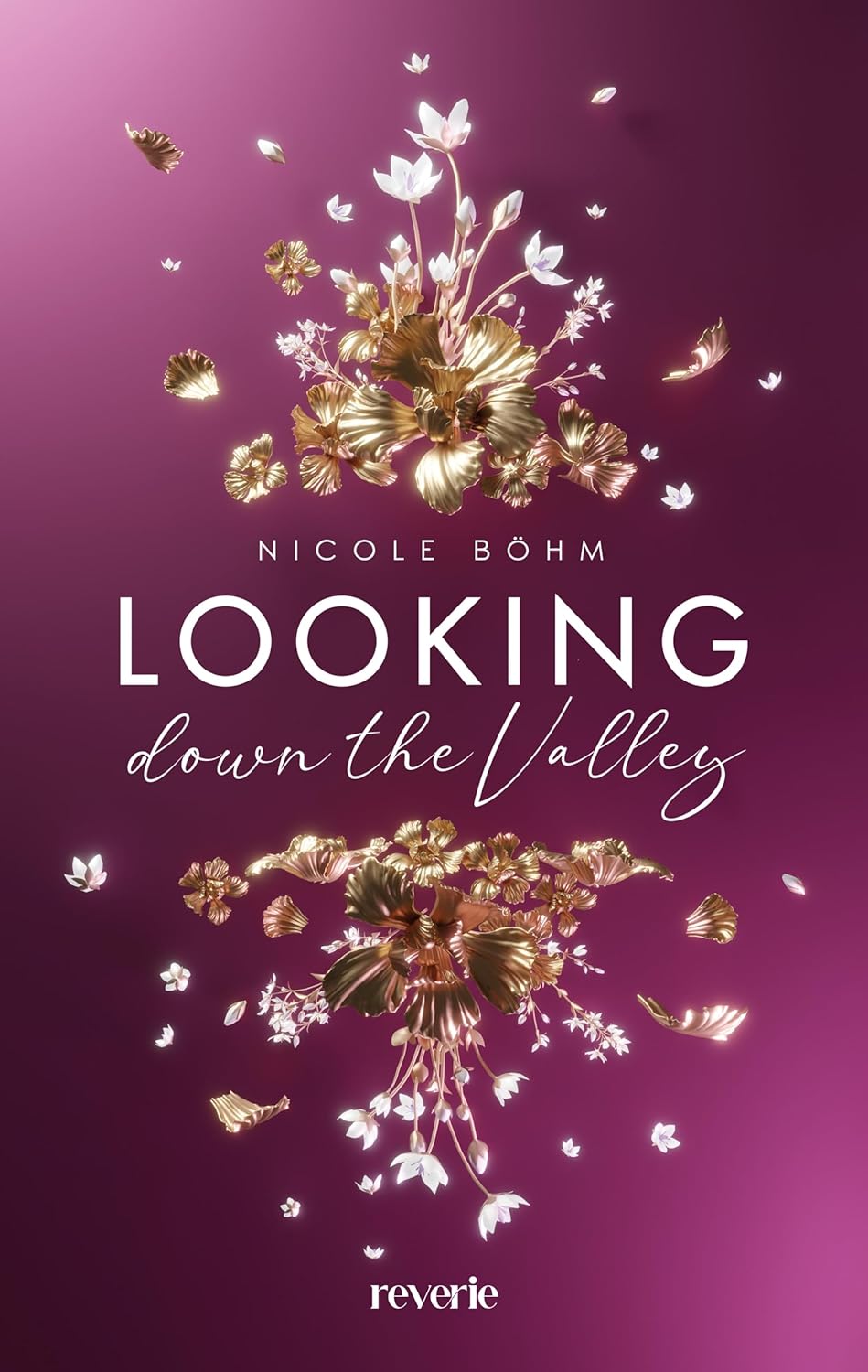 Looking down the Valley book cover