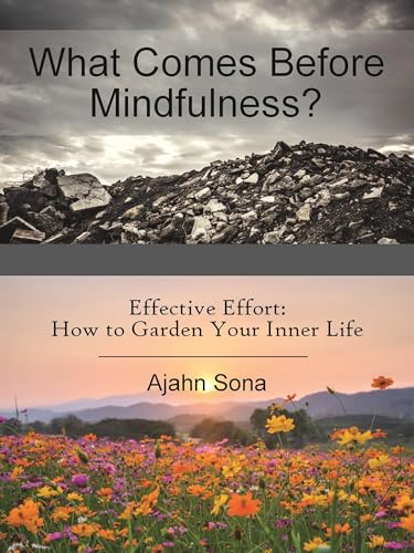 What Comes Before Mindfulness?: Effective Effort: How to Garden Your Inner Life
