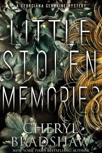 Little Stolen Memories book cover