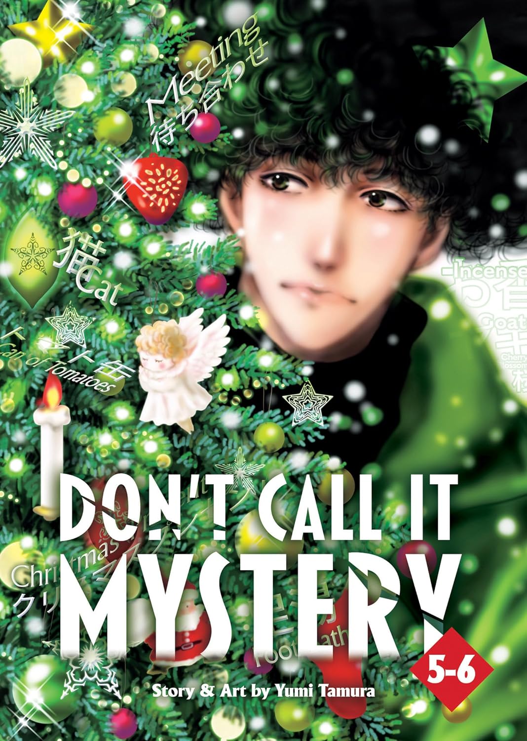 Don't Call it Mystery (Omnibus) Vol. 5-6 book cover