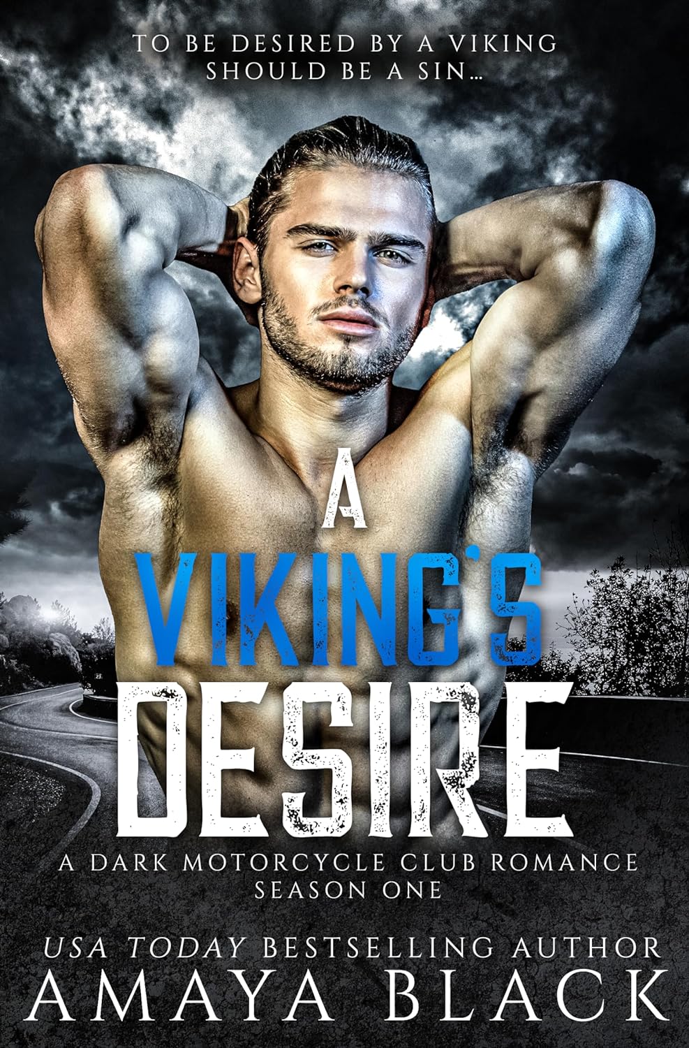 A Viking's Desire: Season One
