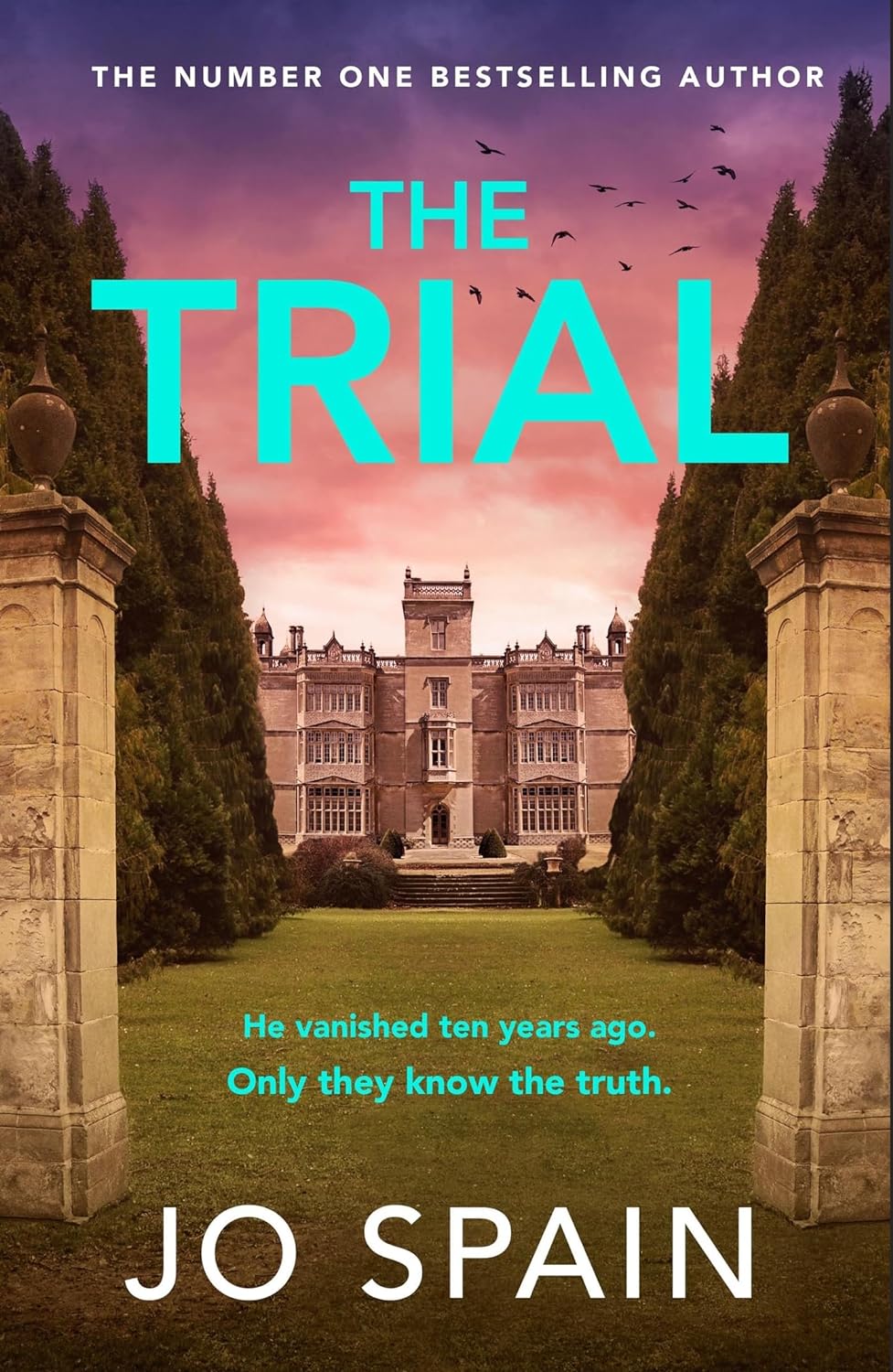 The Trial by Jo Spain Goodreads