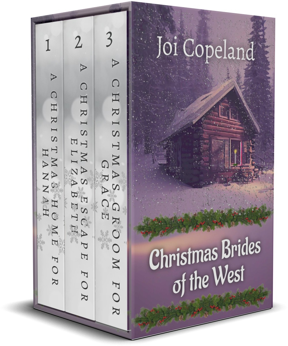 Christmas Brides of the West book cover