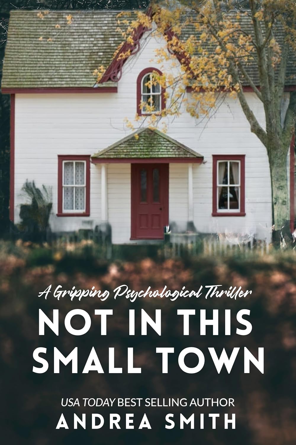 Southern Comfort book cover
