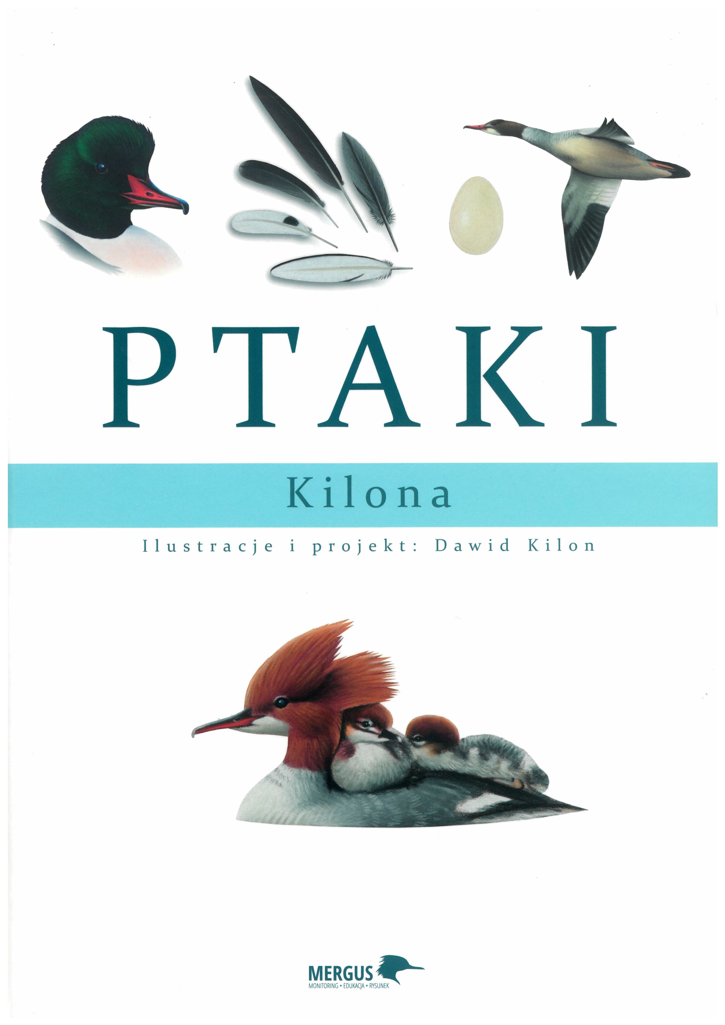 Ptaki Kilona