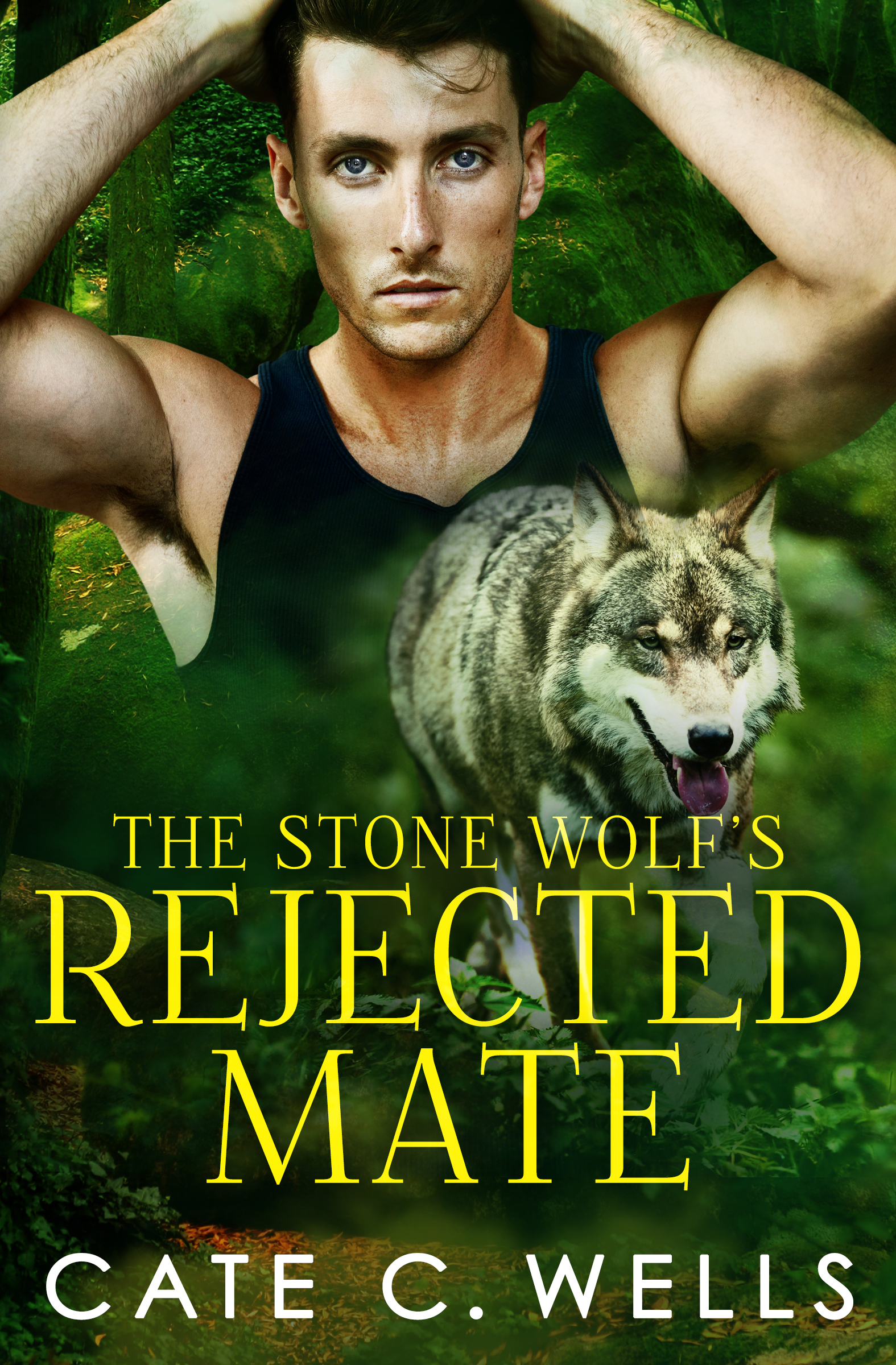 The Stone Wolf's Rejected Mate (Five Packs, #4.5)