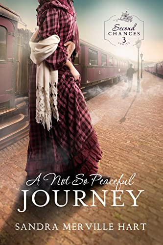 Second Chances book cover 1