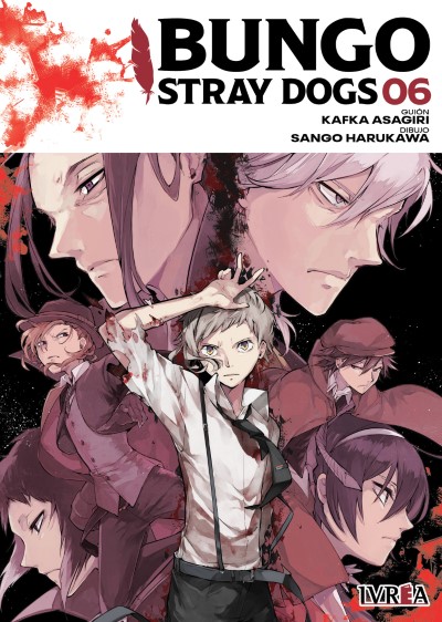Bungo Stray Dogs 06 book cover