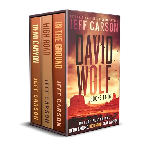 The David Wolf Mystery Thriller Series: Books 14-16